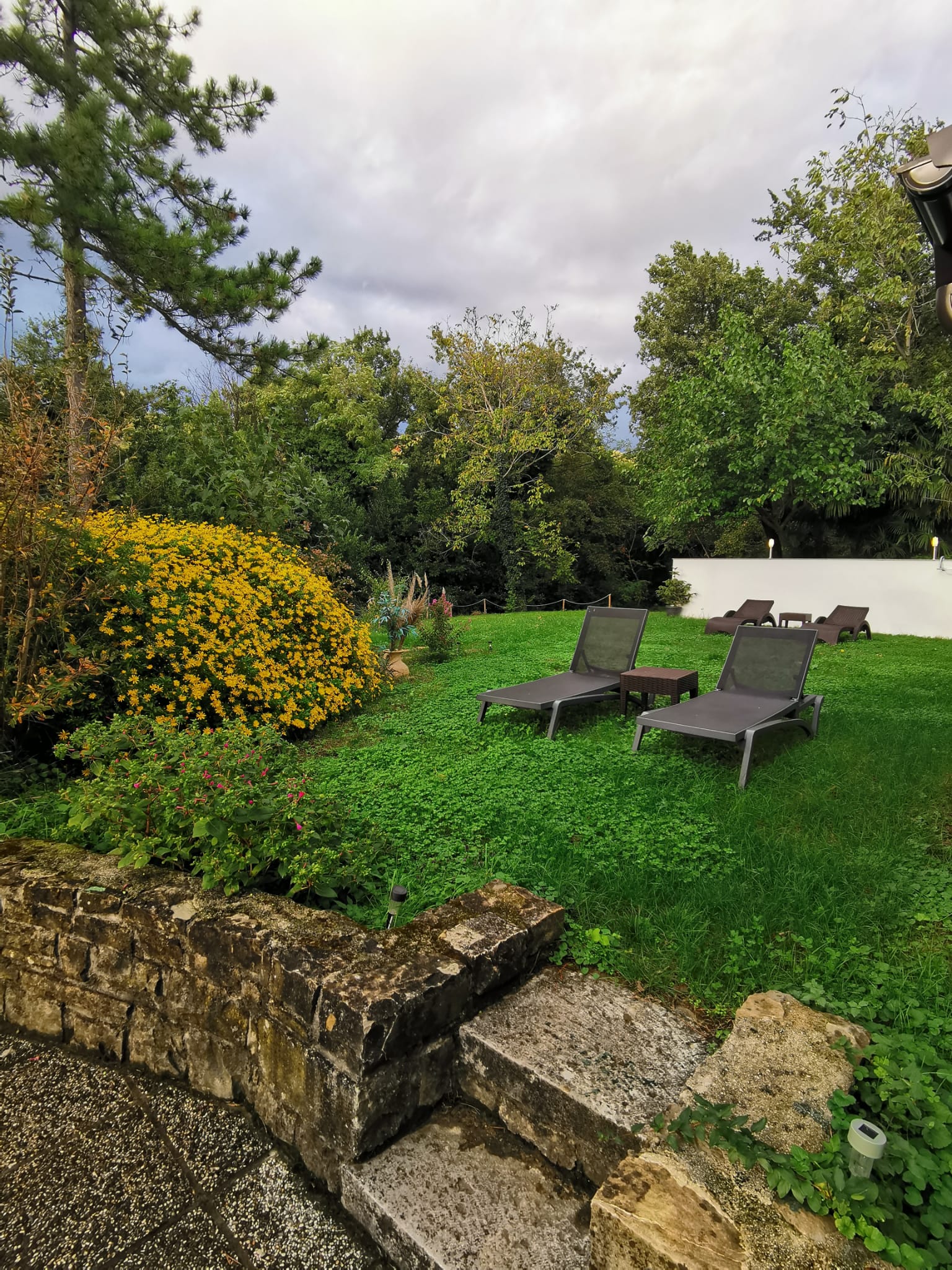 Sun loungers on the lawn