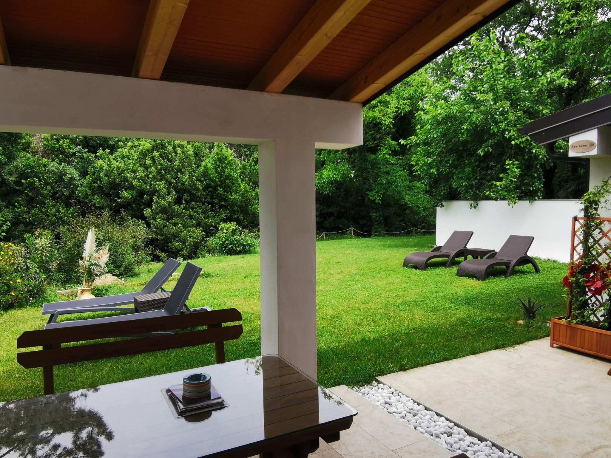 Sun loungers and surrounding area