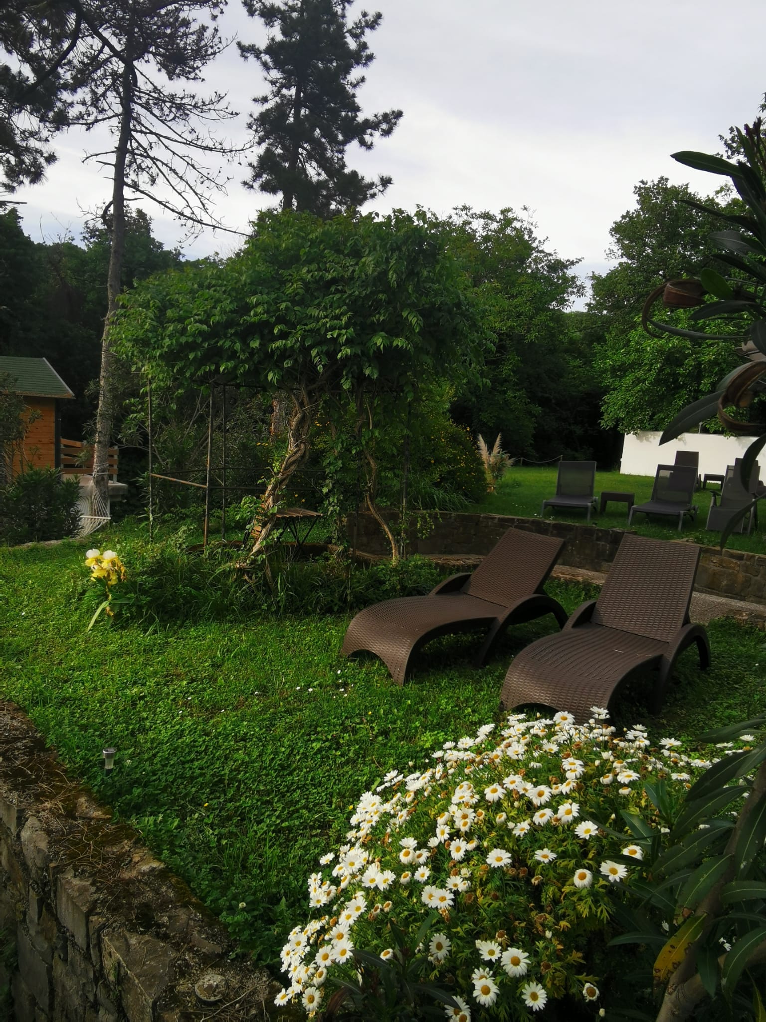 Lawn and surroundings